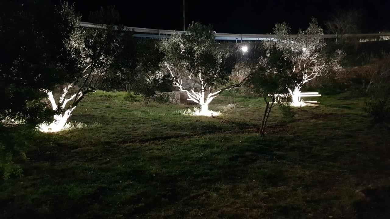 Kuca Za Odmor Jelena Villa Starigrad Paklenica Exterior photo
