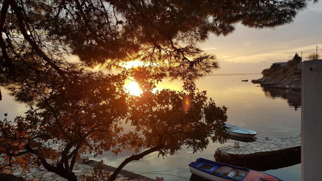 Kuca Za Odmor Jelena Villa Starigrad Paklenica Exterior photo